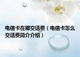 電信卡在哪交話費(fèi)（電信卡怎么交話費(fèi)簡介介紹）
