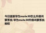 今日更新華為mate30怎么升級(jí)鴻蒙系統(tǒng) 華為mate30升級(jí)鴻蒙系統(tǒng)教程