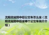 沈陽北站到中街公交車怎么坐（沈陽北站到中街坐哪個(gè)公交車簡介介紹）