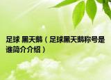 足球 黑天鵝（足球黑天鵝稱號是誰簡介介紹）