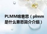 PLMM啥意思（plmm是什么意思簡介介紹）