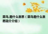 菜鳥,是什么意思（菜鳥是什么意思簡介介紹）