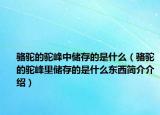 駱駝的駝峰中儲存的是什么（駱駝的駝峰里儲存的是什么東西簡介介紹）