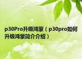 p30Pro升級鴻蒙（p30pro如何升級鴻蒙簡介介紹）