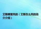 艾斯哪里死的（艾斯怎么死的簡(jiǎn)介介紹）