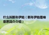 什么叫新年伊始（新年伊始是啥意思簡(jiǎn)介介紹）