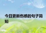 今日更新傷感的句子簡(jiǎn)短
