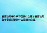 春夏秋冬每個(gè)季節(jié)各開(kāi)什么花（春夏秋冬各季節(jié)分別都開(kāi)什么花簡(jiǎn)介介紹）