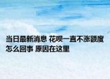 當(dāng)日最新消息 花唄一直不漲額度怎么回事 原因在這里
