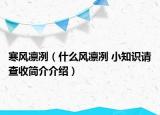 寒風(fēng)凜冽（什么風(fēng)凜冽 小知識請查收簡介介紹）