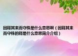 因釋其耒而守株是什么意思?。ㄒ蜥屍漶缍刂甑尼屖鞘裁匆馑己喗榻榻B）