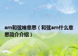am和弦啥意思（和弦am什么意思簡(jiǎn)介介紹）