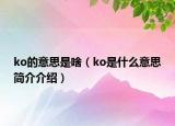 ko的意思是啥（ko是什么意思簡介介紹）