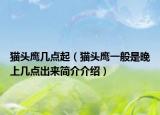 貓頭鷹幾點(diǎn)起（貓頭鷹一般是晚上幾點(diǎn)出來(lái)簡(jiǎn)介介紹）