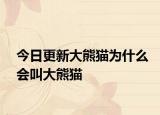 今日更新大熊貓為什么會叫大熊貓
