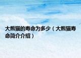 大熊貓的壽命為多少（大熊貓壽命簡介介紹）