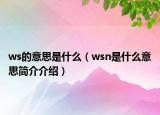 ws的意思是什么（wsn是什么意思簡(jiǎn)介介紹）