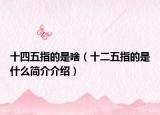 十四五指的是啥（十二五指的是什么簡介介紹）
