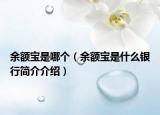 余額寶是哪個（余額寶是什么銀行簡介介紹）