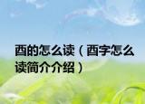 酉的怎么讀（酉字怎么讀簡(jiǎn)介介紹）
