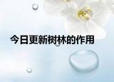 今日更新樹林的作用