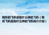 隱形的飛機是指什么樣的飛機（隱形飛機是指什么樣的飛機簡介介紹）