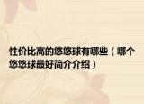 性價(jià)比高的悠悠球有哪些（哪個(gè)悠悠球最好簡(jiǎn)介介紹）