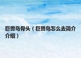 巨獸島骨頭（巨獸島怎么去簡介介紹）