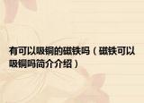 有可以吸銅的磁鐵嗎（磁鐵可以吸銅嗎簡(jiǎn)介介紹）