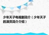 少年天子電視劇簡介（少年天子的演員簡介介紹）