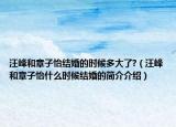 汪峰和章子怡結(jié)婚的時(shí)候多大了?（汪峰和章子怡什么時(shí)候結(jié)婚的簡(jiǎn)介介紹）