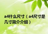 a4什么尺寸（a4尺寸是幾寸簡介介紹）