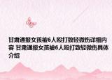 甘肅通報(bào)女孩被6人毆打致輕微傷詳細(xì)內(nèi)容 甘肅通報(bào)女孩被6人毆打致輕微傷具體介紹