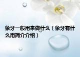 象牙一般用來做什么（象牙有什么用簡(jiǎn)介介紹）