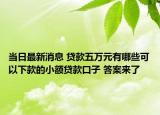 當(dāng)日最新消息 貸款五萬元有哪些可以下款的小額貸款口子 答案來了