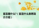 官宣是什么?（官宣什么意思簡介介紹）