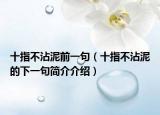 十指不沾泥前一句（十指不沾泥的下一句簡介介紹）