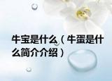牛寶是什么（牛蛋是什么簡(jiǎn)介介紹）