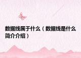 數(shù)據(jù)線屬于什么（數(shù)據(jù)線是什么簡介介紹）