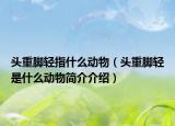 頭重腳輕指什么動物（頭重腳輕是什么動物簡介介紹）