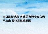 當(dāng)日最新消息 有錢花有額度怎么借不出來(lái) 具體是這些原因