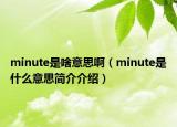 minute是啥意思?。╩inute是什么意思簡介介紹）