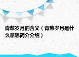 青蔥歲月的含義（青蔥歲月是什么意思簡介介紹）