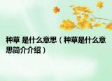 種草 是什么意思（種草是什么意思簡介介紹）