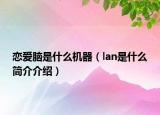 戀愛腦是什么機器（lan是什么簡介介紹）