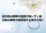 遠(yuǎn)方的山楂樹大結(jié)局介紹一下（遠(yuǎn)方的山楂樹大結(jié)局是什么簡介介紹）