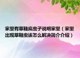 家里有草鞋底蟲子說明家里（家里出現(xiàn)草鞋蟲該怎么解決簡(jiǎn)介介紹）