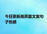 今日更新高質(zhì)量文案句子傷感
