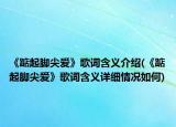 《踮起腳尖愛》歌詞含義介紹(《踮起腳尖愛》歌詞含義詳細(xì)情況如何)