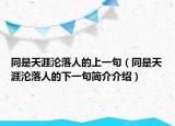 同是天涯淪落人的上一句（同是天涯淪落人的下一句簡介介紹）